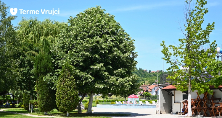 Terme Vrujci Blog